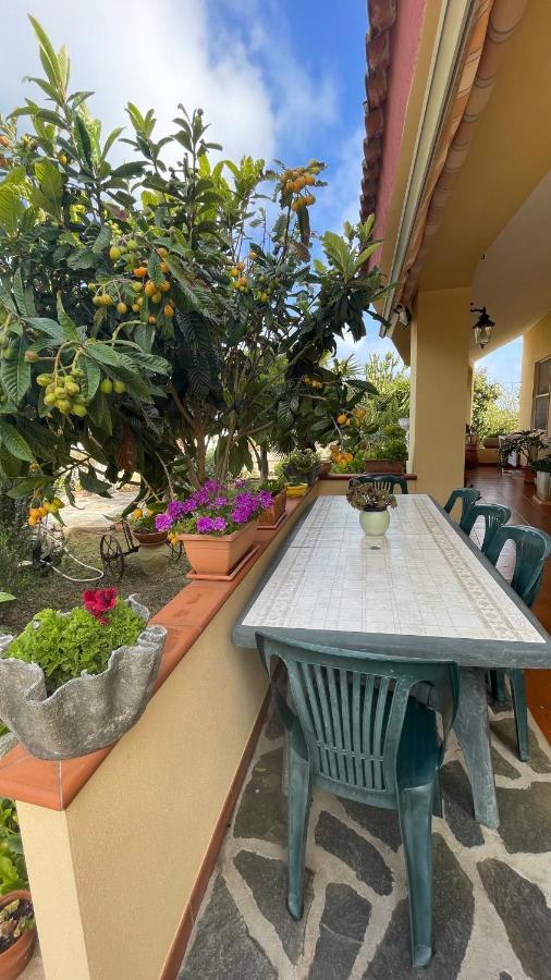 Biancareddu La Mansarda B&B 외부 사진