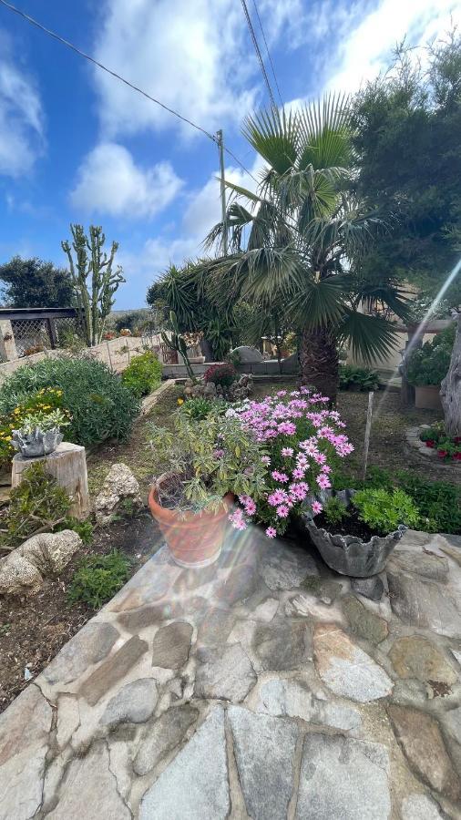 Biancareddu La Mansarda B&B 외부 사진